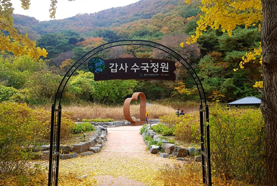 갑사 수국정원