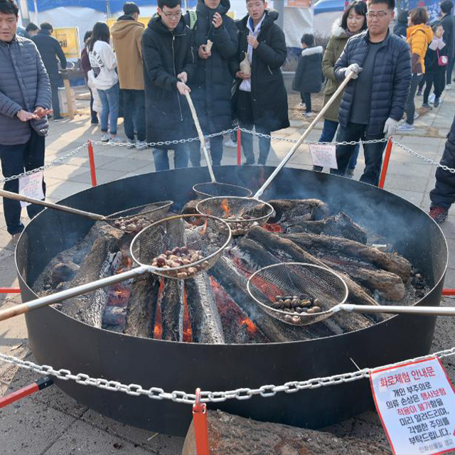 동백 주꾸미 축제